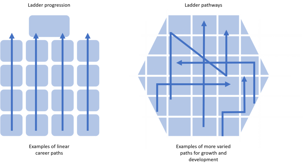 career-ladders-and-lattices-edsi